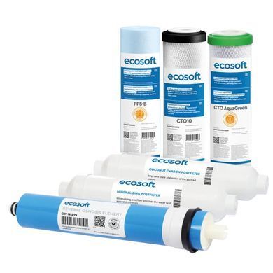 Комплект картриджів Ecosoft Absolute "12 місяців"