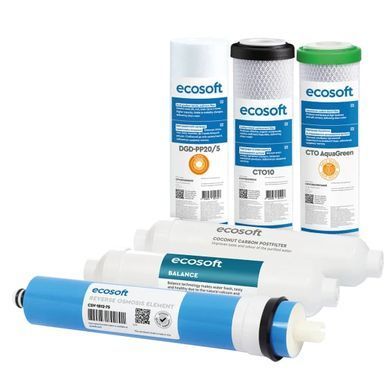 Комплект картриджів Ecosoft PURE Balance "12 місяців"